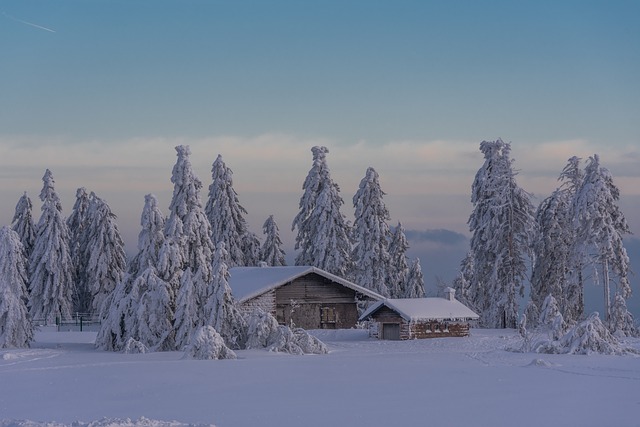 O vlastnostech bungalovu do L